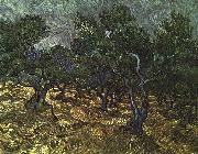 The Olive Grove, Vincent Van Gogh